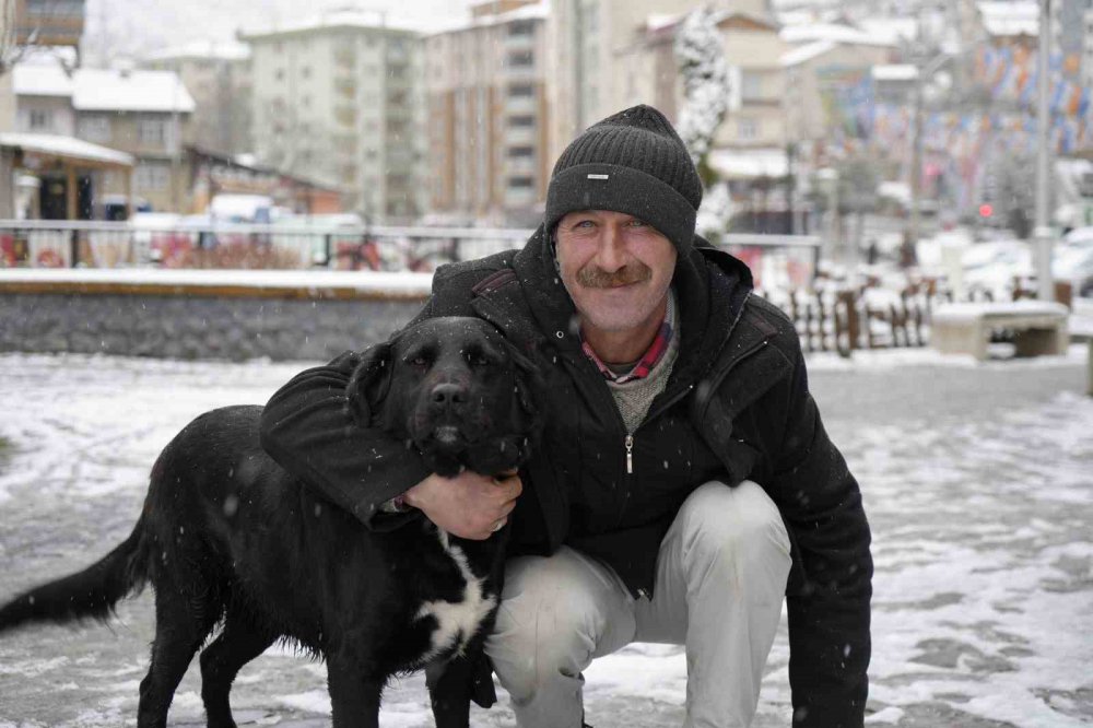 Gümüşhane’de Mart Kapıdan Baktırdı , Kent merkezi beyaz'a büründü