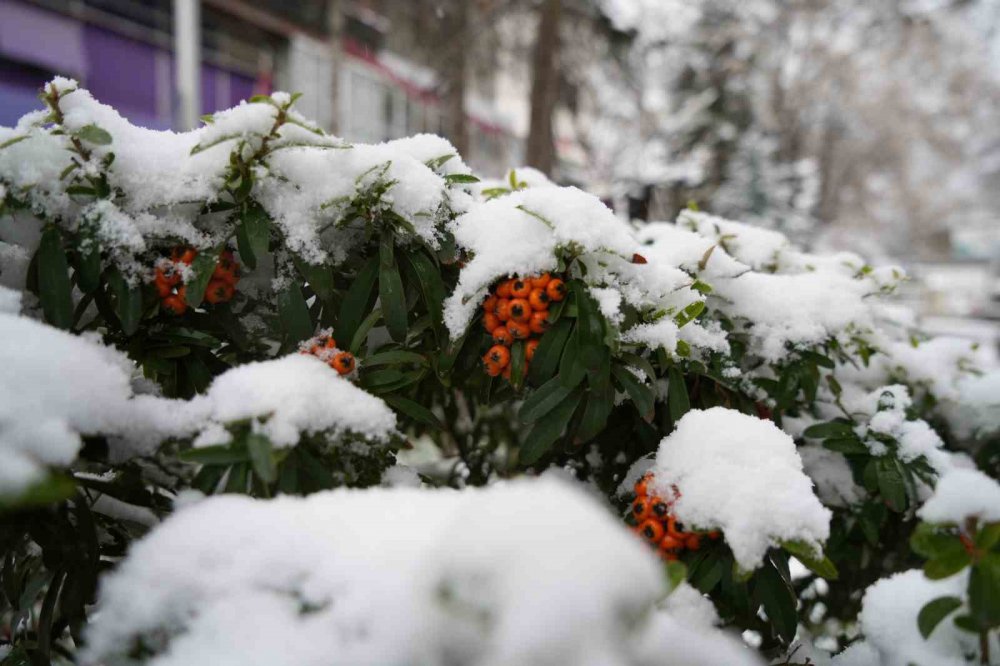 Gümüşhane’de Mart Kapıdan Baktırdı , Kent merkezi beyaz'a büründü