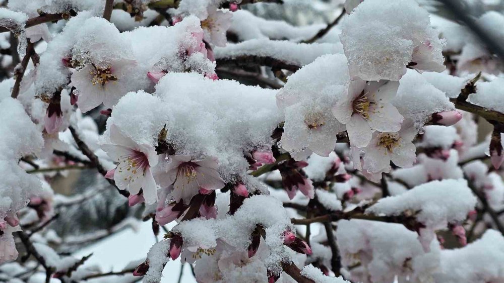 Gümüşhane’de Mart Kapıdan Baktırdı , Kent merkezi beyaz'a büründü