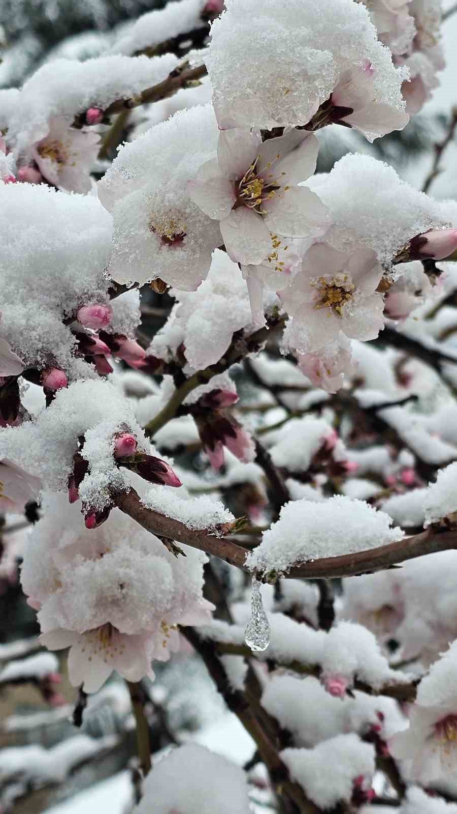 Gümüşhane’de Mart Kapıdan Baktırdı , Kent merkezi beyaz'a büründü