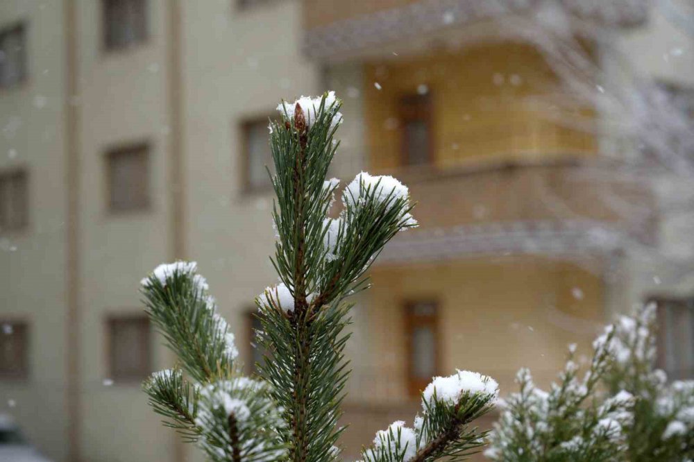 Gümüşhane Kara Kışı Martta Yaşıyor