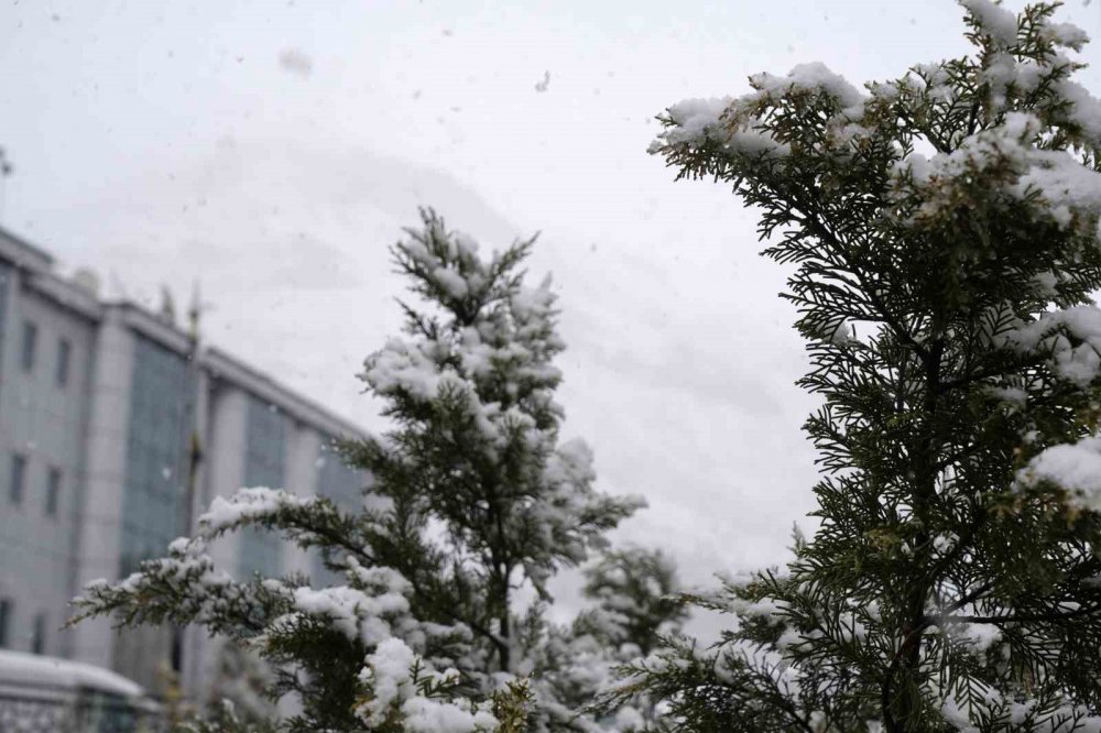 Gümüşhane Kara Kışı Martta Yaşıyor