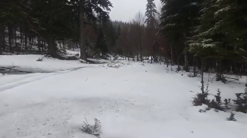 Bahar Ayında Sakarya’nın Yüksek Kesimlerinde Lapa Lapa Kar Yağıyor