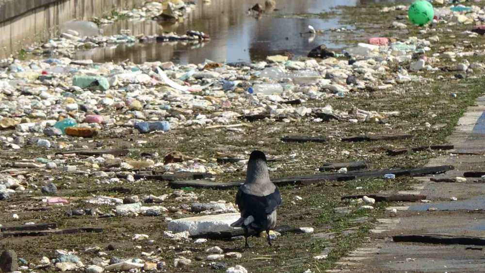 Karadeniz'i Biz Kirlettik, Dalgalar Geri Verdi