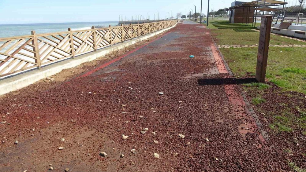 Karadeniz'i Biz Kirlettik, Dalgalar Geri Verdi