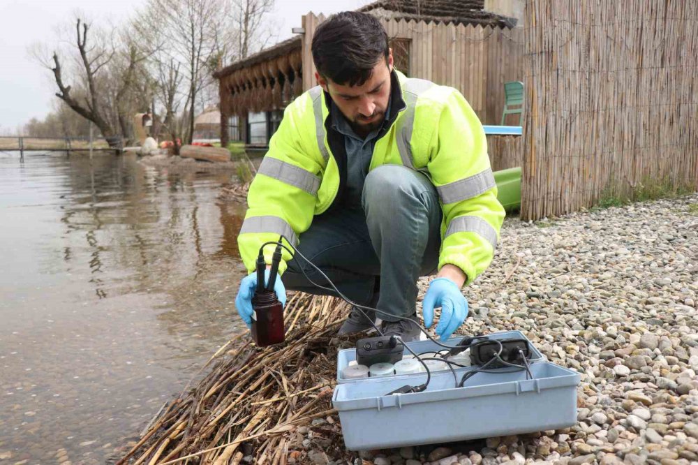 Akaryakıtın Sızdığı Sapanca Gölü’nden Sevindiren Detaylar: "su İçilebilir"
