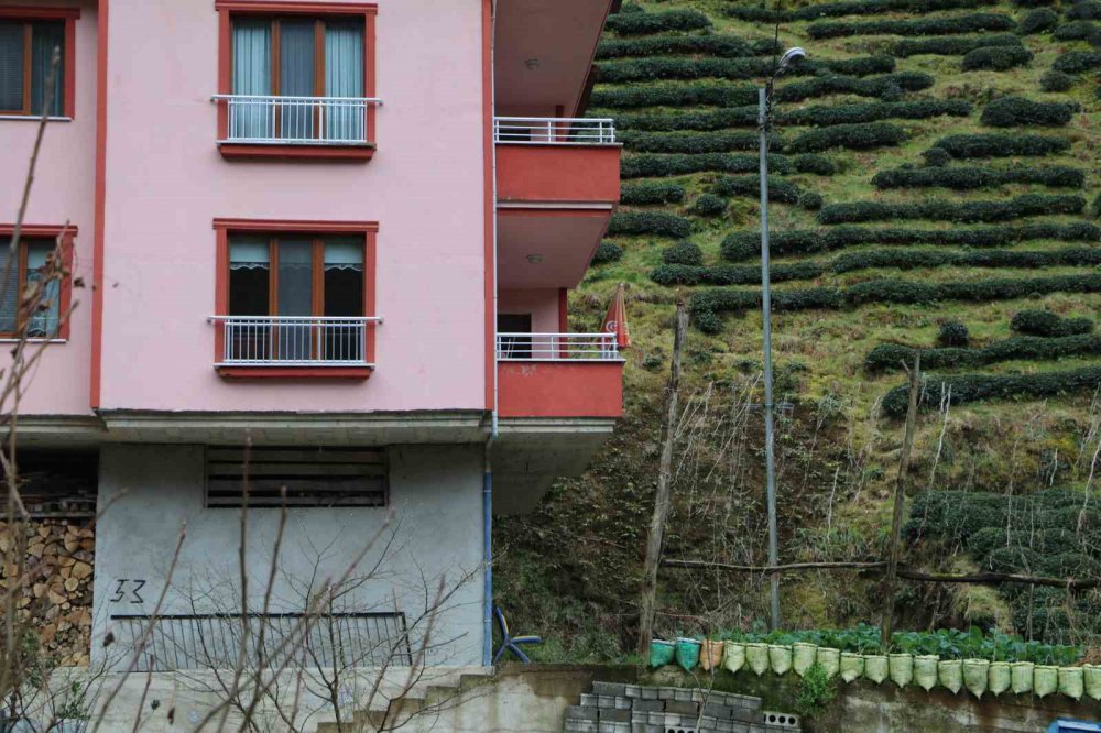 Rize Güneysu Gürgen köyünde ağaca bağlı elektrik kullanan halk tedirgin