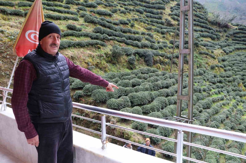 Rize Güneysu Gürgen köyünde ağaca bağlı elektrik kullanan halk tedirgin