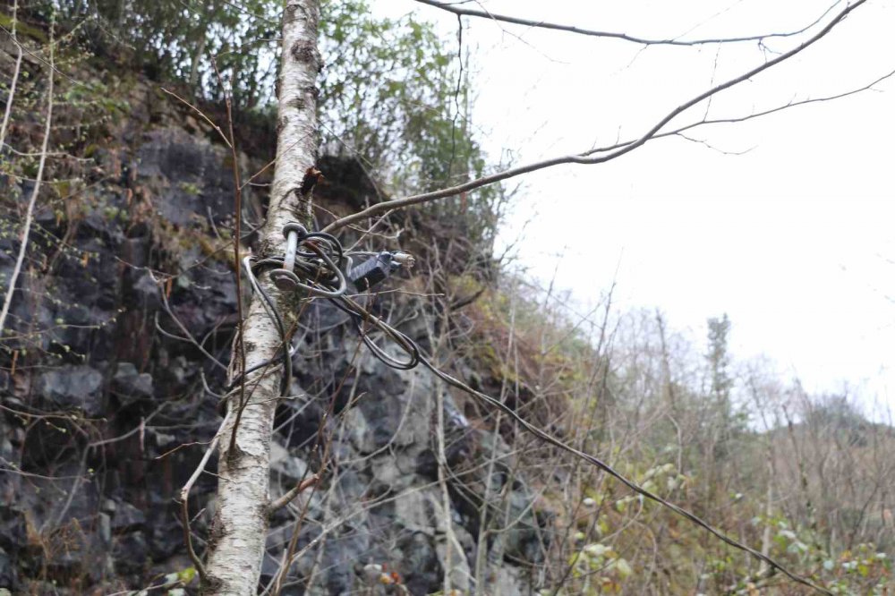 Rize Güneysu Gürgen köyünde ağaca bağlı elektrik kullanan halk tedirgin