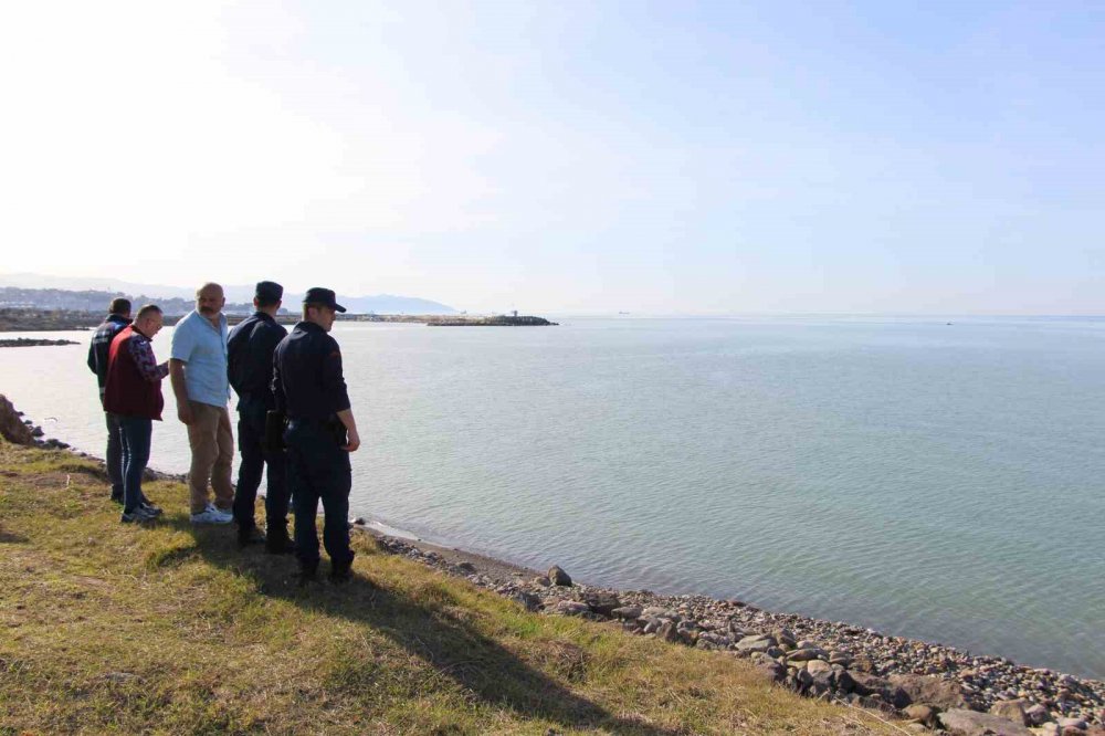 Trabzon'da inek ölüsü sahile vurdu ,Akıllara 4 gün Rize'den Trabzon'a Yüzen inek ferdinand geldi