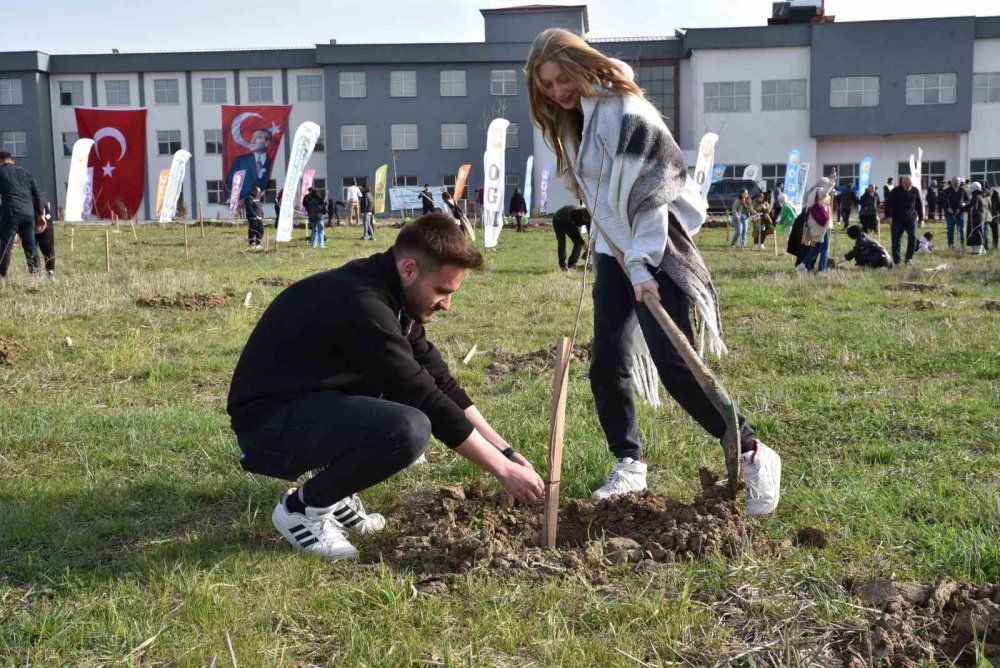 Samsun'da Bin 500 Fidan Toprakla Buluşturuldu