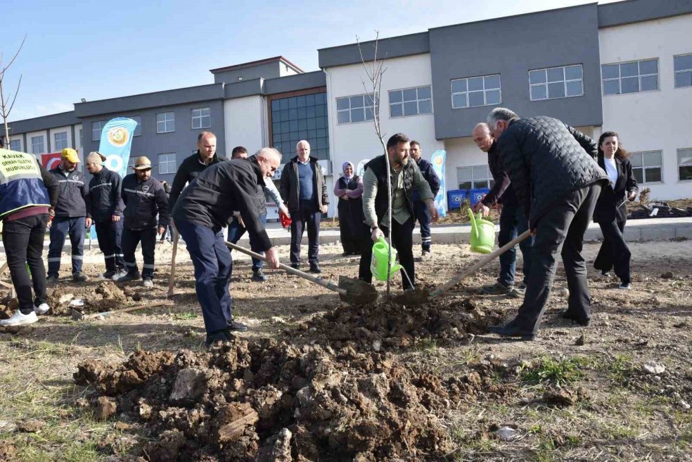 Samsun'da Bin 500 Fidan Toprakla Buluşturuldu