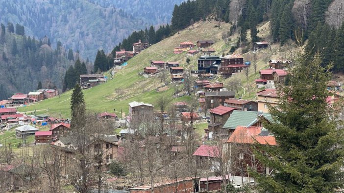 ayder-1.jpg
