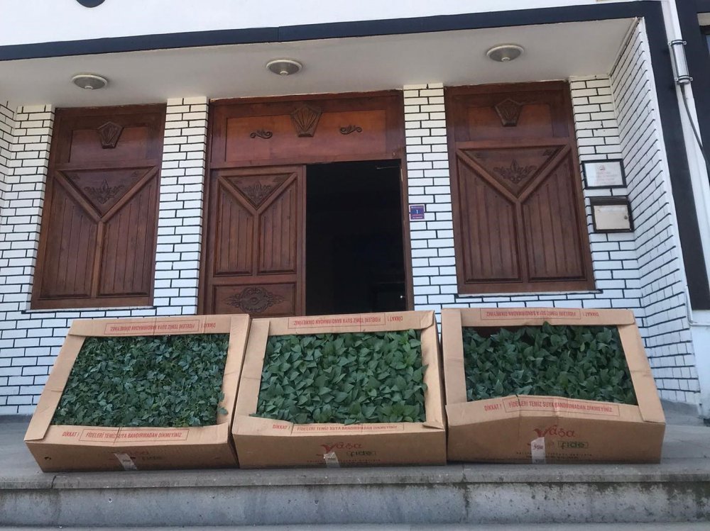 Kastamonu Abana’da Çiftçilere 20 Bin Sebze Fidesi Dağıtıldı