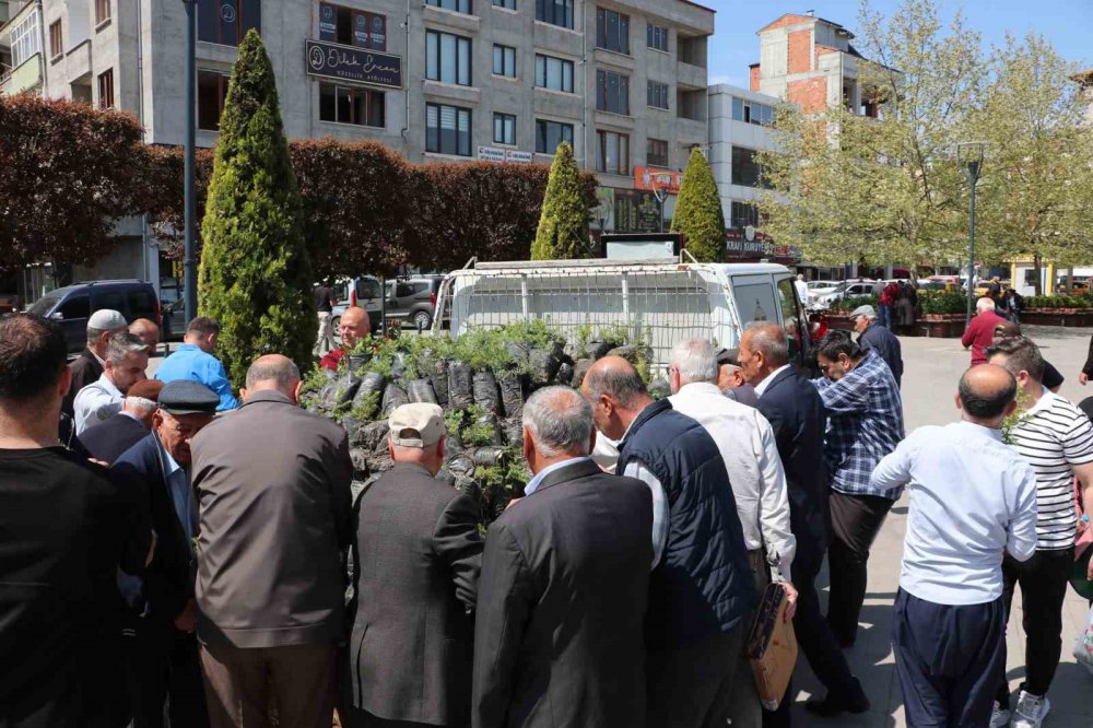 Samsun Havza’da Bin 500 Fidan Dağıtıldı