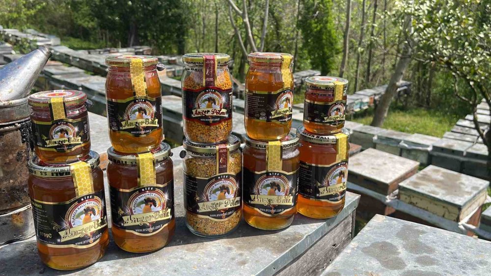 Anzer Balı Üretimi Yapan Arıcılar Yeni Sezondan Ümitli