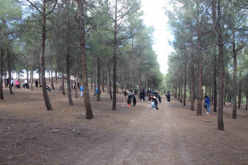 Vezirköpri'de "daha Temiz Bir Çevre İçin" Çöp Topladılar