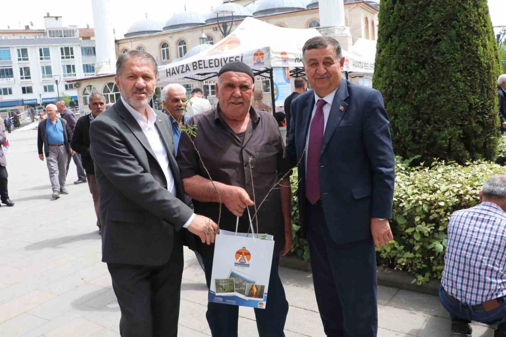Samsun Havza’da Bin 500 Meyve Fidanı Dağıtıldı