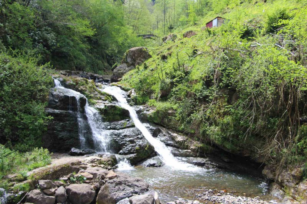 Adına Türküler Yakılan Ağasar Deresi Keşfedilmeyi Bekliyor