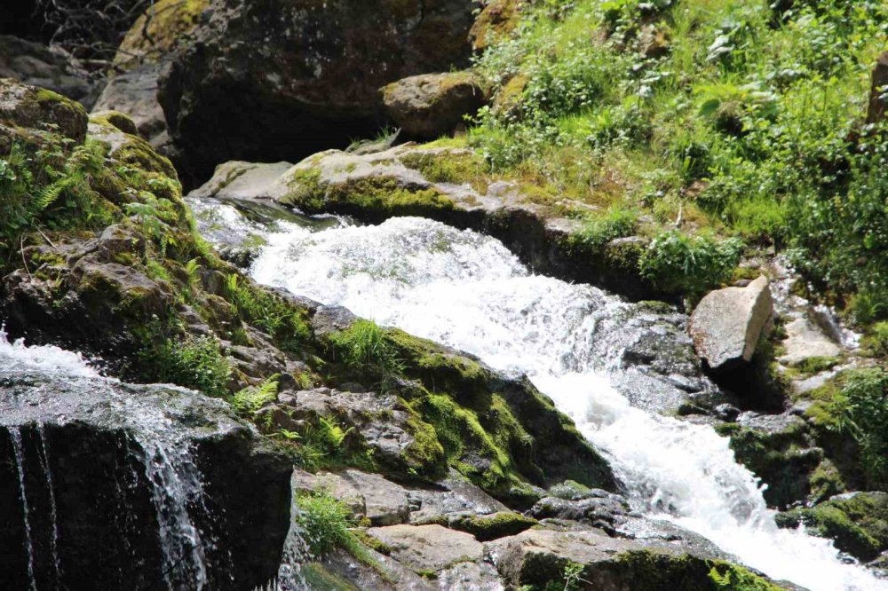 Adına Türküler Yakılan Ağasar Deresi Keşfedilmeyi Bekliyor