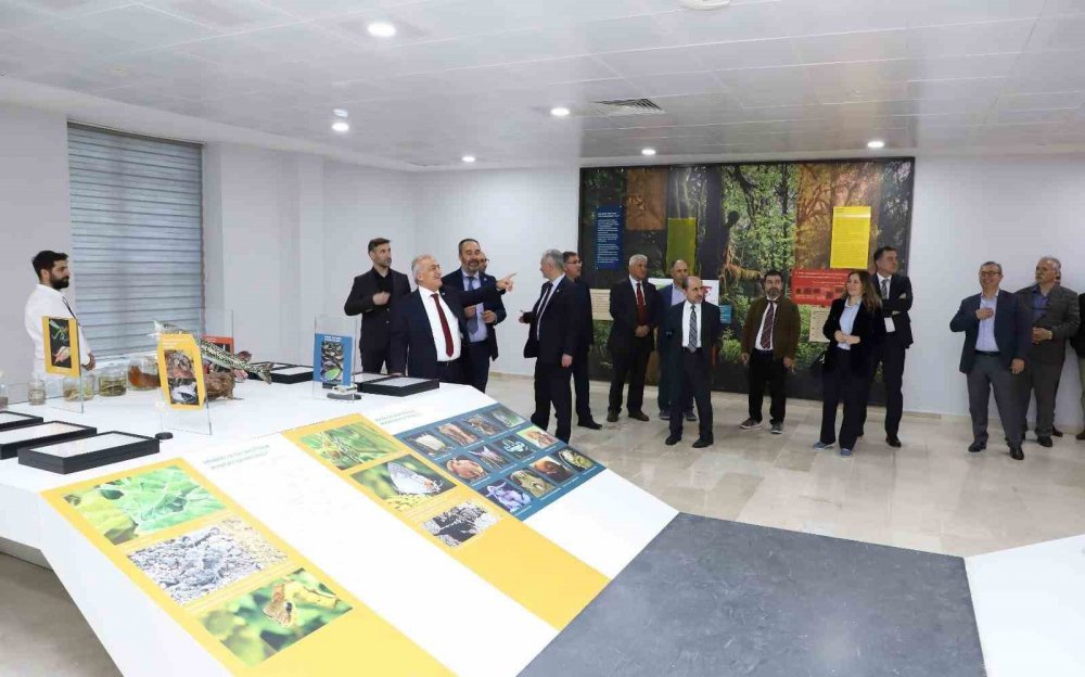 Bu Müzede 250 Bin Böcek Ve 20 Bin Kurutulmuş Bitki Örneği Sergileniyor