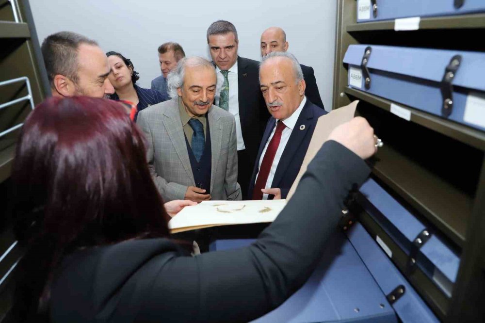 Bu Müzede 250 Bin Böcek Ve 20 Bin Kurutulmuş Bitki Örneği Sergileniyor