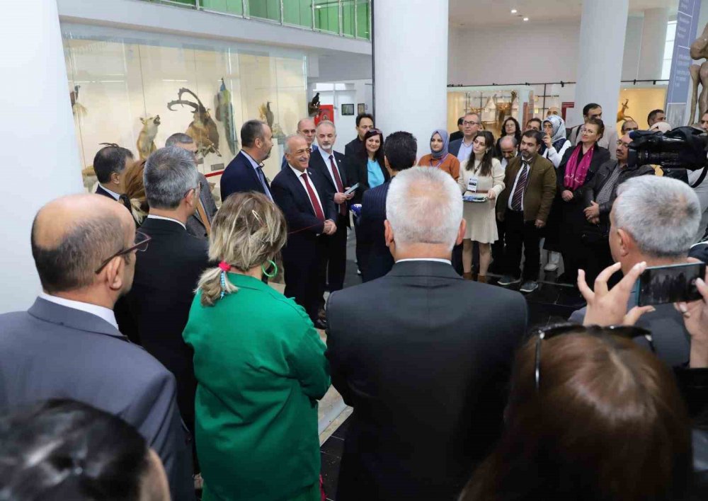 Bu Müzede 250 Bin Böcek Ve 20 Bin Kurutulmuş Bitki Örneği Sergileniyor