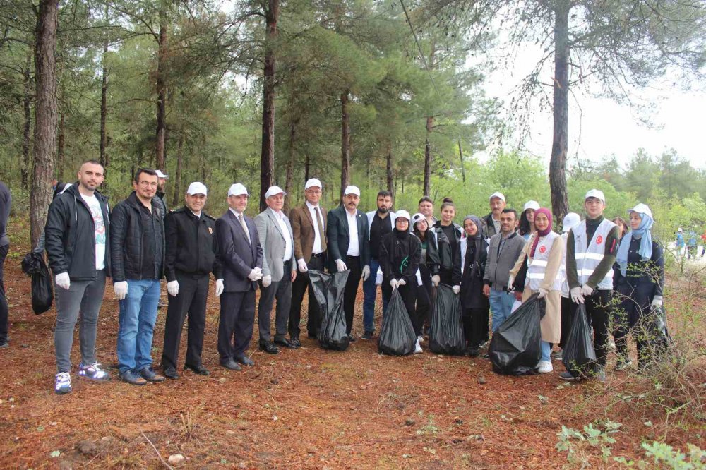 Samsun vezirköpride Ormanda Çöp Toplama Etkinliği