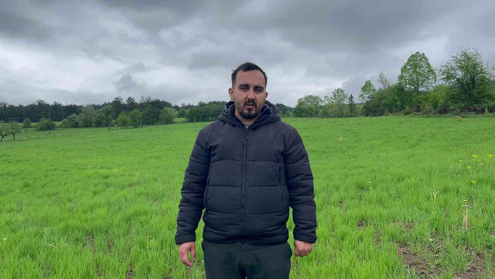 Kastamonu Kuraklığın Ardından Gelen Yağmurlar Siyez Buğdayı Yetiştiricilerinin Yüzünü Güldürdü