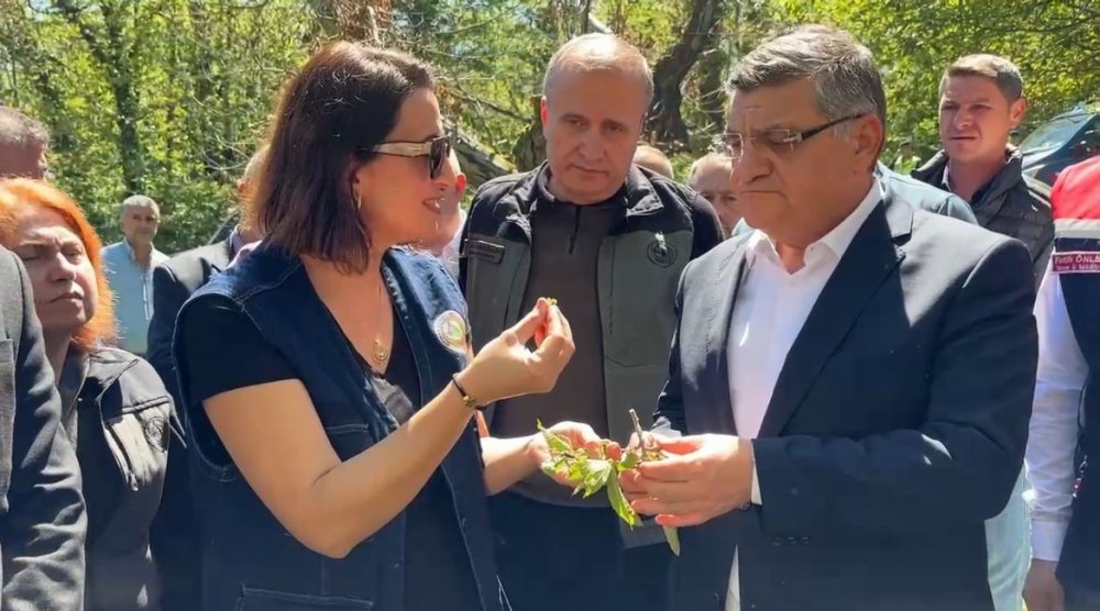 Sinop’ta 850 Adet Avcı Böcek Doğaya Salındı