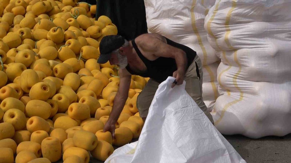 Rizeli Balıkçılar Av Yasağında Teknelerini ve Ağlarını Onarıyor