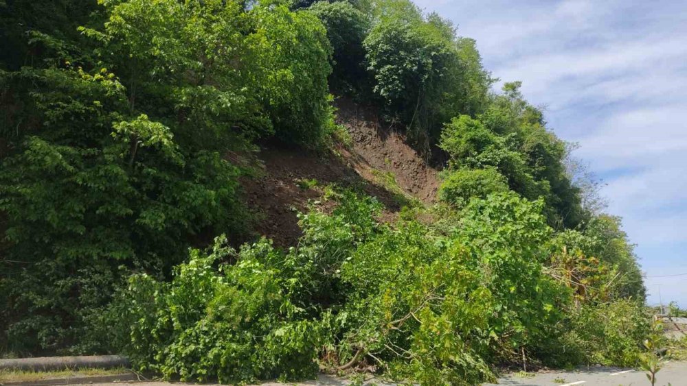 Artvin'de heyelan , yol tek şeritten veriliyor