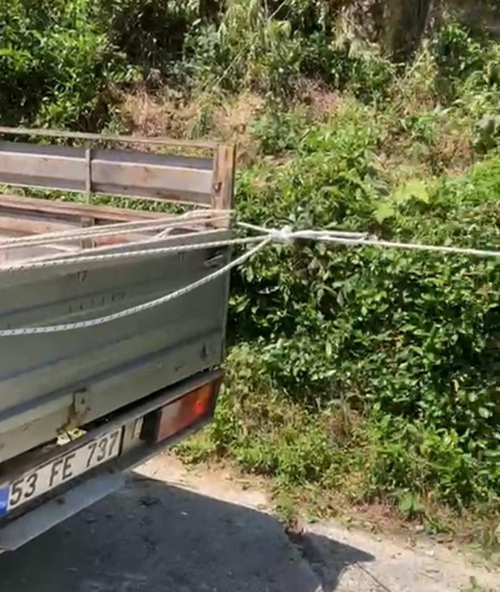 Rizeli düşünürse bir çözüm bulur , çay bezini arabaya taktığı iple çekerek çıkarttı