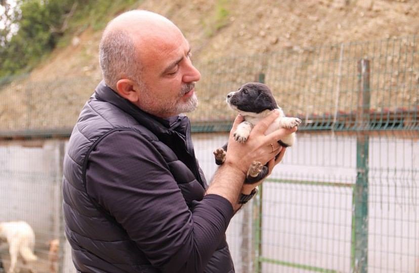 Artvin Hopa Belediyesi’nden Sokak Hayvanlarına Kısırlaştırma, Küpelenme Ve Mikroçip