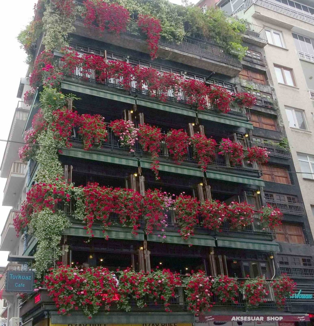 Giresun’un En Renkli Binası Görenlerin İlgisini Çekiyor