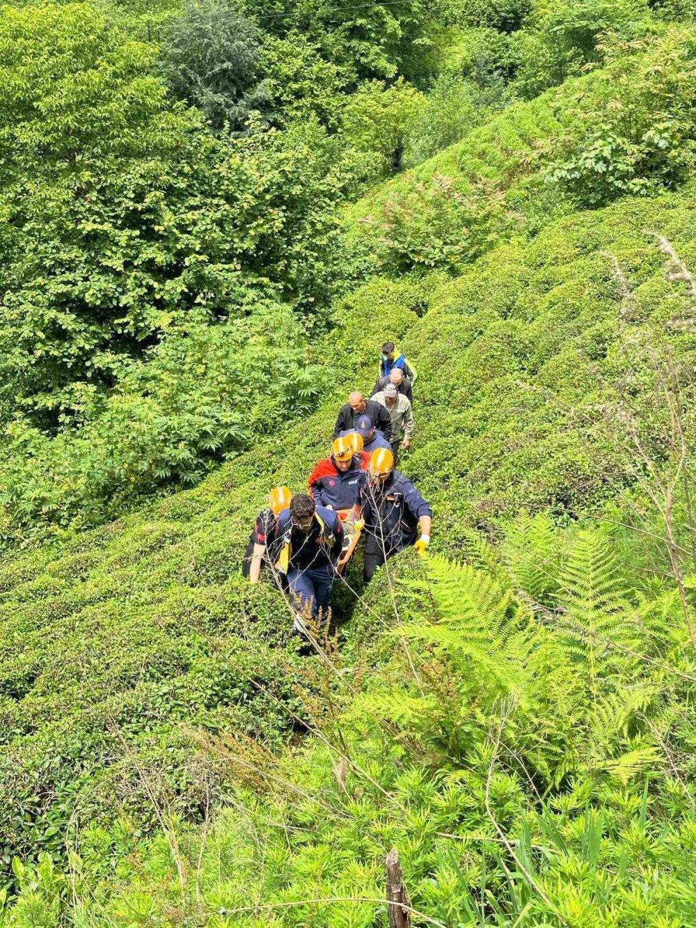 Rize Çayeli'nde Ağacın Altında Kalan Vatandaş Yaralandı