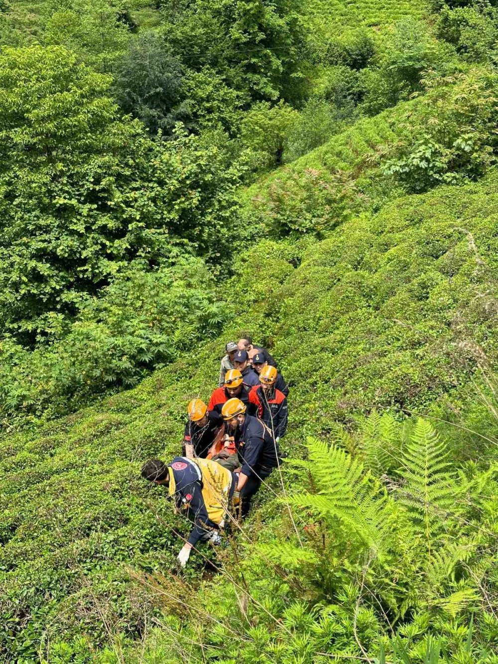 Rize Çayeli'nde Ağacın Altında Kalan Vatandaş Yaralandı