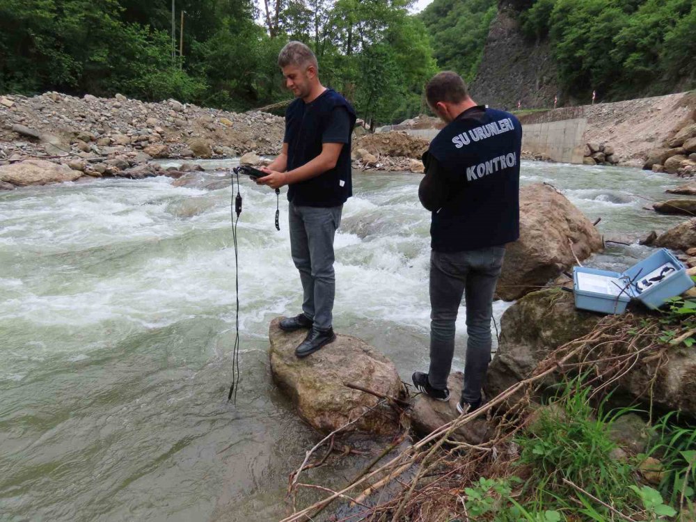 Trabzon’un Derelerinin Su Kaynakları Temiz Çıktı