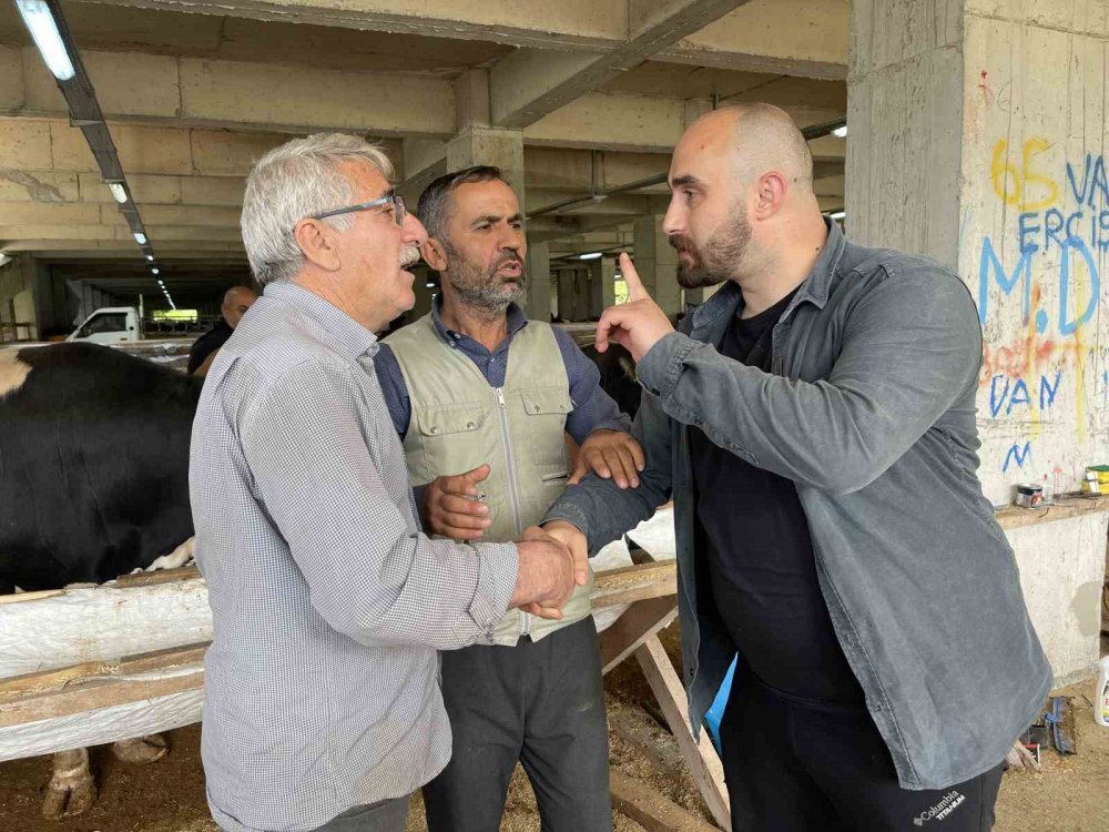 Kurban bayramı yaklaşırken Rize'de kurbanlık satışları başladı