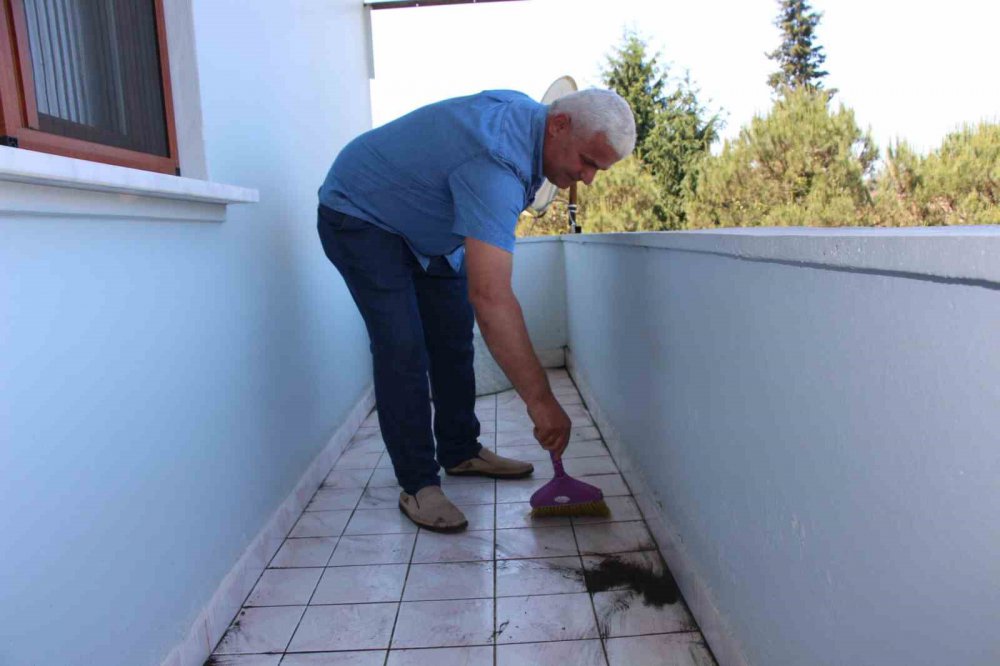 Of'taki çay fabrikası haklı bezdirdi , vatandaş toz silmekten bir hal oldu