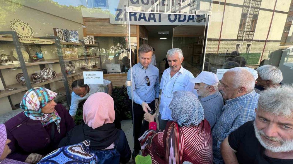 Rize'de bir ilçede 1500 ücretsiz fide dağıtıldı