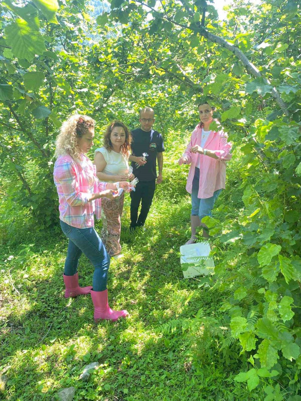 Giresun’da 17 Bin 360 Samuray Arısı Salımı Yapıldı