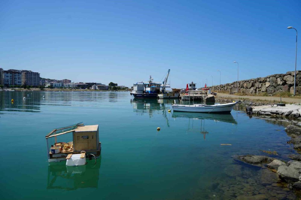 Karadenizli yine yaptı yapacağını , denizin ortasında yüzen kümes yaptılar