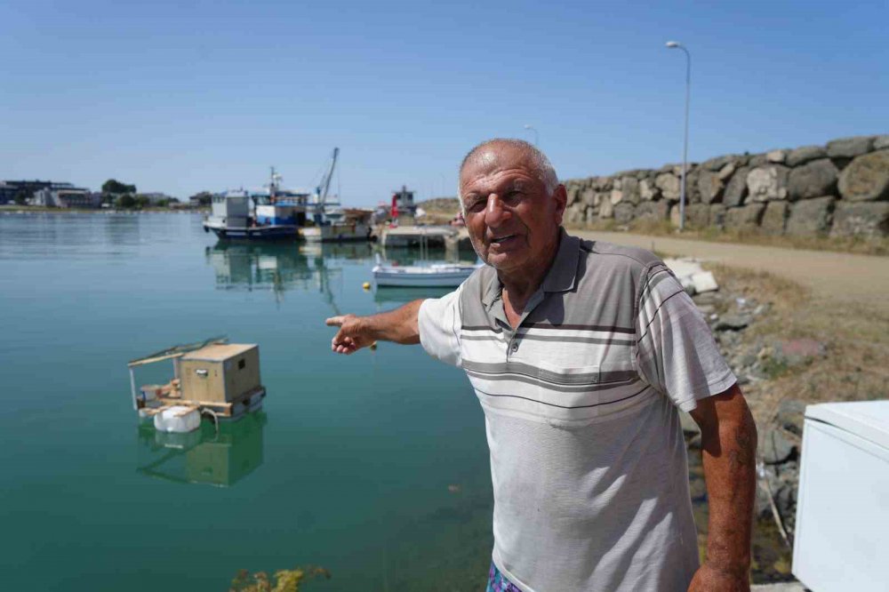 Karadenizli yine yaptı yapacağını , denizin ortasında yüzen kümes yaptılar