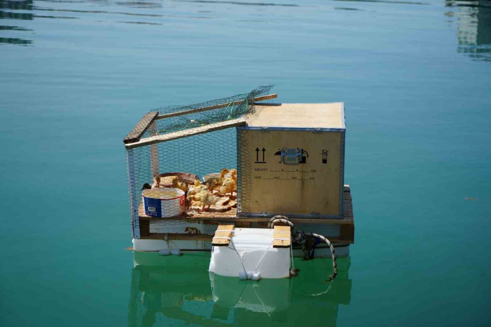 Karadenizli yine yaptı yapacağını , denizin ortasında yüzen kümes yaptılar