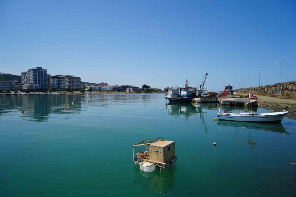 Karadenizli yine yaptı yapacağını , denizin ortasında yüzen kümes yaptılar