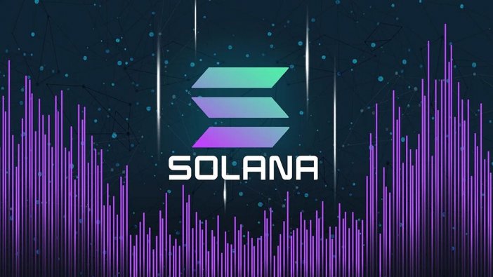 solona-13.png