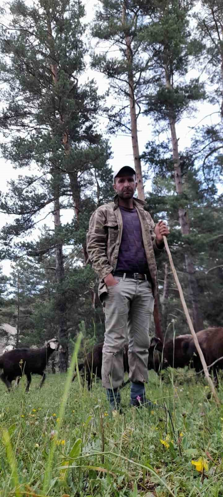 Erzurum’da Düşen Yıldırım Ağacı İki Böldü