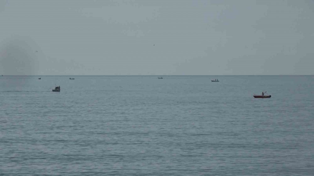 Bu yıl palaut olacakmı , İşte Cevabı