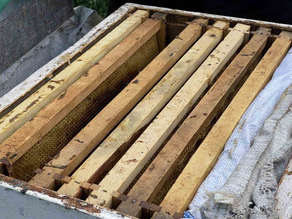 Dünyaca Ünlü Anzer Balı’nın Bu Yıl Kilogram Satış Fiyatı Belli Oldu